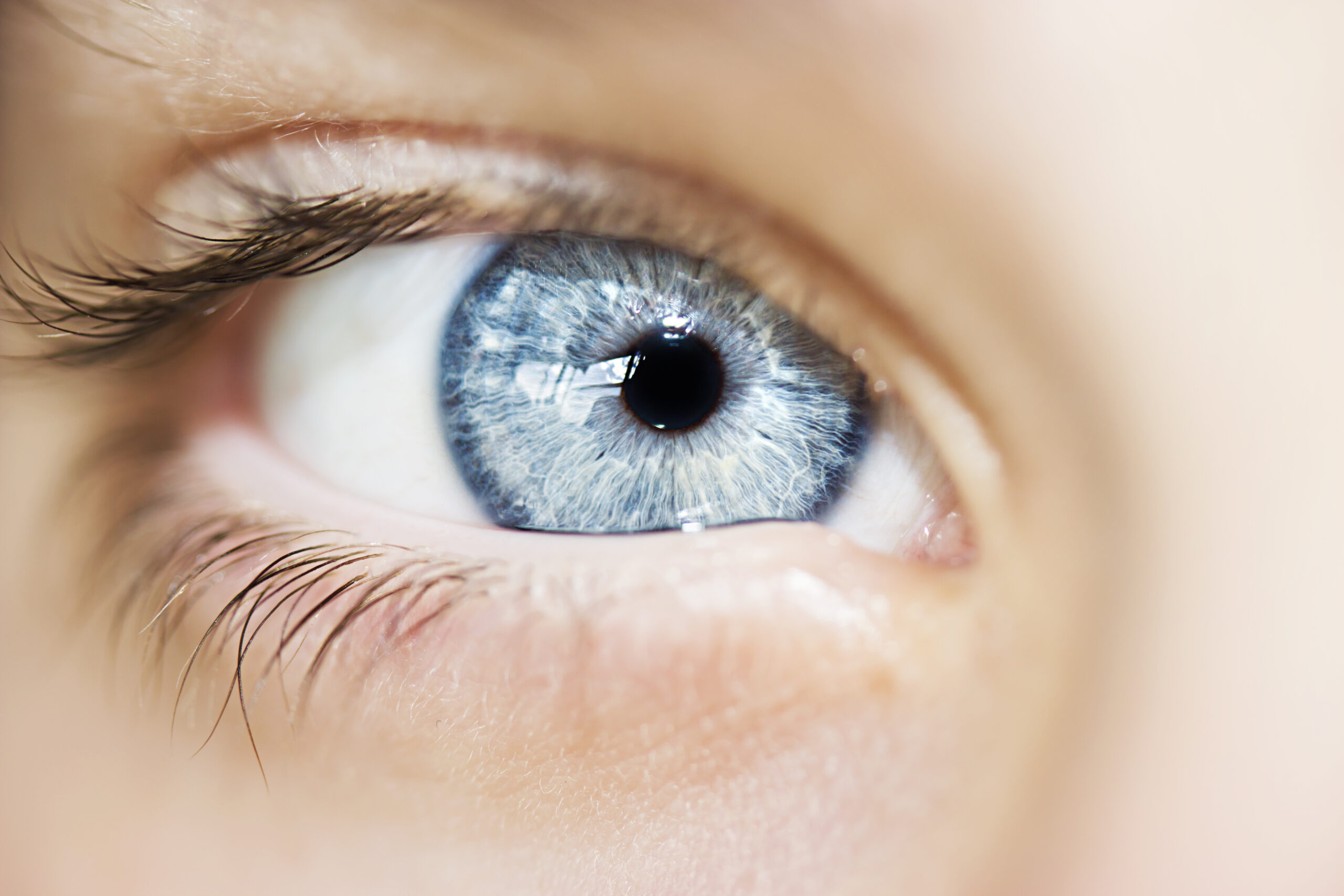 La couleur des yeux La couleur des yeux