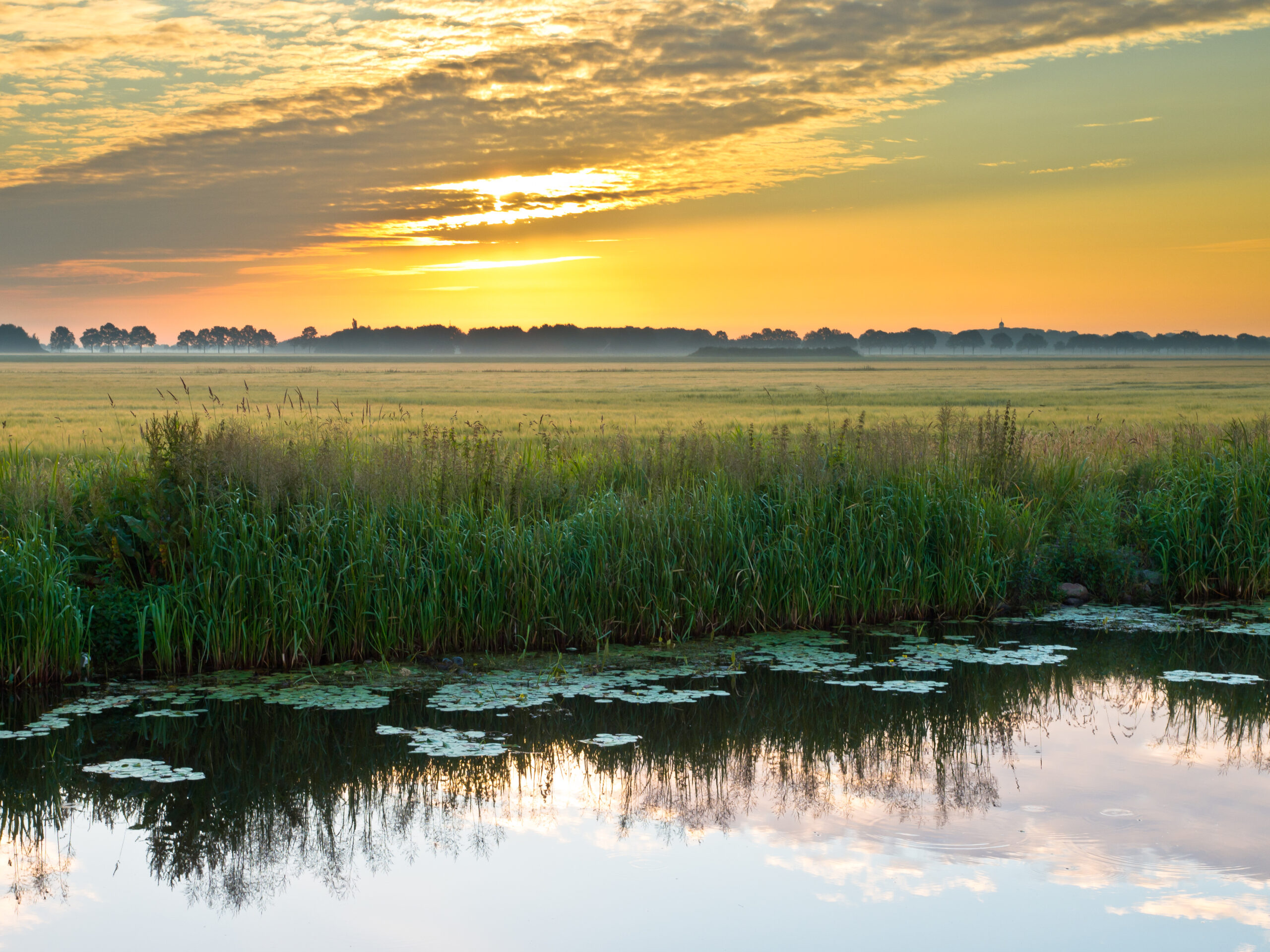 Rêver de crépuscule
