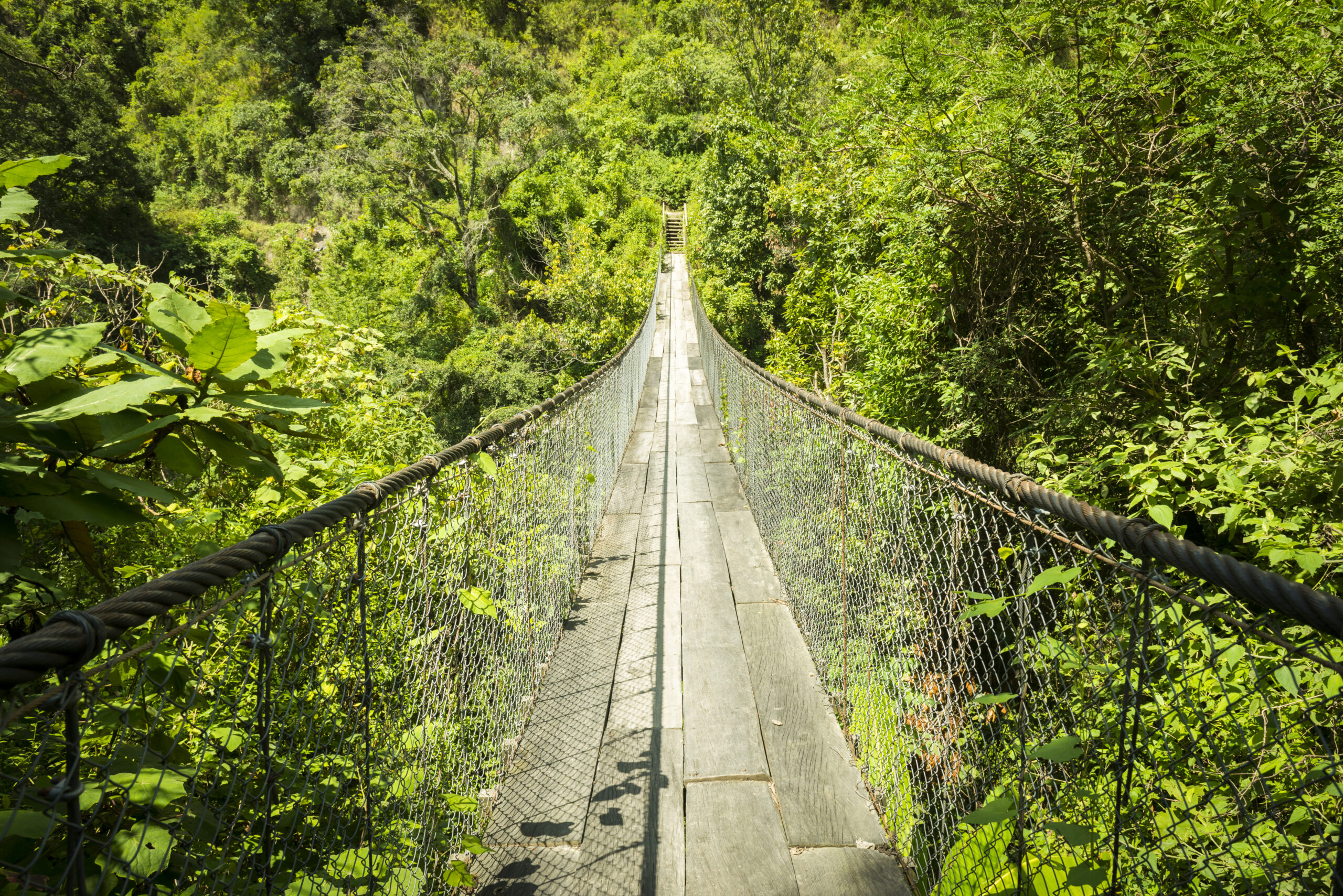 Rêver d’une passerelle
