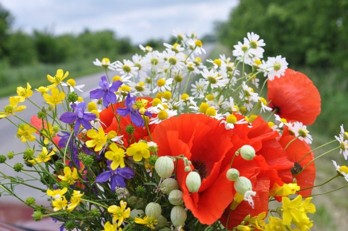 Rêver d’un bouquet Rêver d’un bouquet