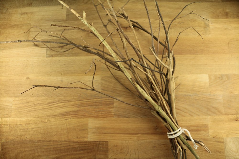 Rêver de branches