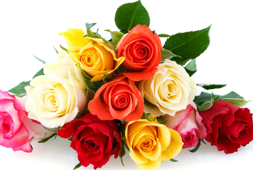 Rêver de roses