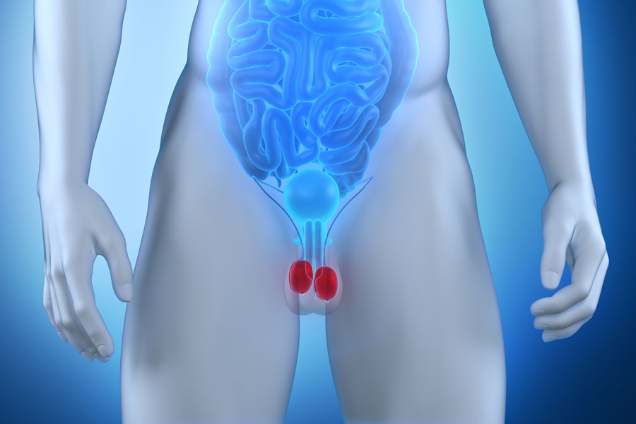 Rêver de testicules